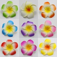 six different colors of flower petals arranged in the shape of a flower on a white background