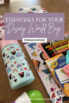 the contents of a disney world bag with text overlay that reads essentials for your disney world bag