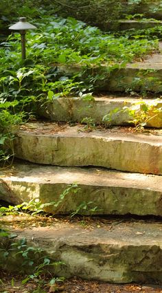 steps lead up to a lamp post in the woods