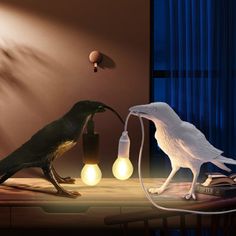 two birds sitting on top of a wooden table next to a light bulb and lamp