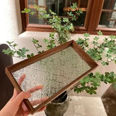 a person holding up a mirror in front of a potted plant