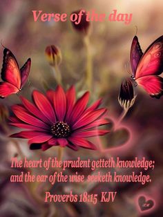 two butterflies flying over a red flower with the words verse of the day on it