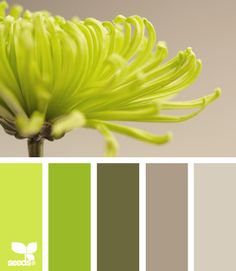 the color scheme is lime green and gray, with white flowers on each side of it