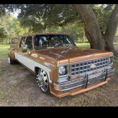 an old pickup truck parked under a tree