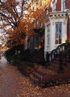 a row of houses with autumn leaves on the ground