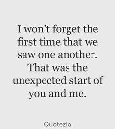 a quote that says, i won't forget the first time that we saw one another