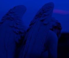 two angel wings are shown against a dark blue sky with the moon in the distance