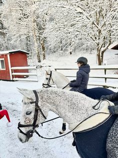 two people riding horses in the snow near a red barn and tree covered with snow