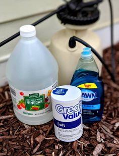 bottles of water and other cleaning products sit on the mulch next to a watering hose