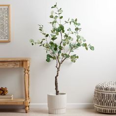 a potted plant sitting on top of a wooden table next to a white wall