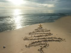 a christmas tree made out of sand on the beach