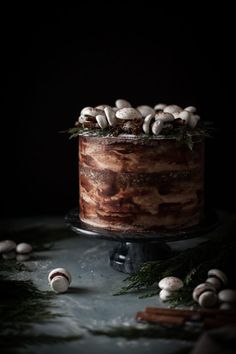 a chocolate cake with mushrooms and cinnamons on top