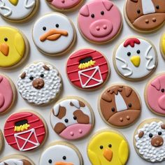 many decorated cookies with farm animals on them