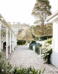 a brick walkway leading to a house with white flowers and greenery on either side