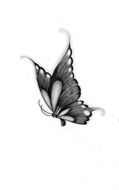 a black and white drawing of a butterfly flying in the air with its wings spread out