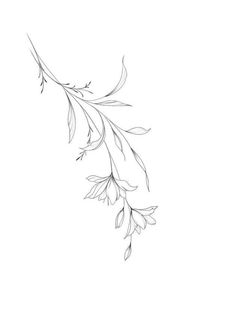 a drawing of a branch with leaves on it