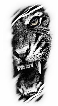 a black and white photo of a tiger's face with it's mouth open