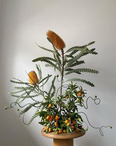 a plant with oranges and green leaves in a wooden vase on a table next to a white wall