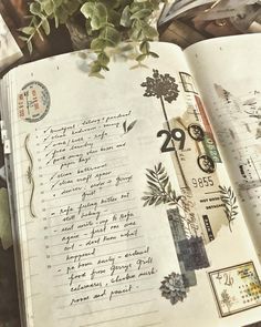 an open book with writing on it next to a potted plant and other items