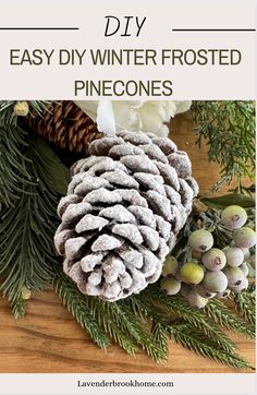 pinecones and evergreen cones with text overlay that says diy easy winter frosted pinecones