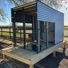 a dog in a cage sitting on top of a wooden platform