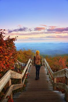 a woman walking down a wooden walkway in the mountains with autumn foliage on both sides