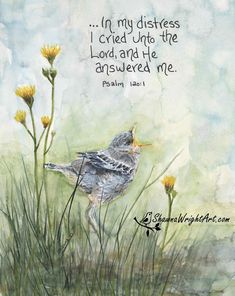 a watercolor painting of a bird sitting in the grass with a bible verse above it