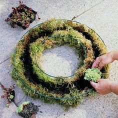 someone is making a wreath out of moss and other things on the ground with their hands