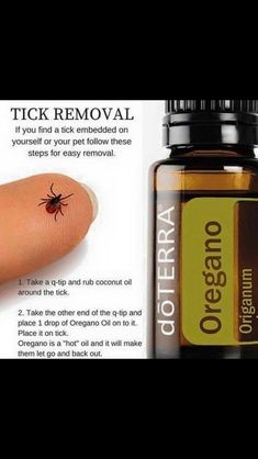 Tick Removal, Doterra Essential Oils Recipes, Essential Oil Diffuser Blends Recipes, Oil Remedies, Essential Oils Health, Oregano Oil, Essential Oil Blends Recipes, Living Essentials Oils, Bug Repellent