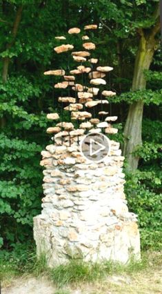 there is a stone structure with mushrooms growing out of it and trees in the background