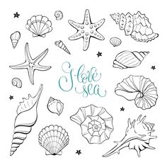 hand drawn sea shells and starfishs with the word hello written in blue ink