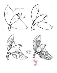 some drawings of birds flying in the sky