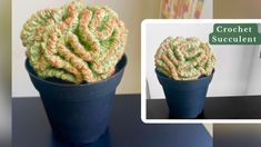 there is a crochet succulent in a pot