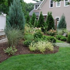 a house with landscaping in the front yard