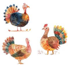 three different colored turkeys standing next to each other