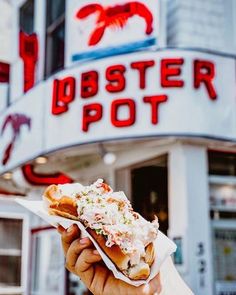 a person holding up a hot dog in front of a lobster pot sign and building