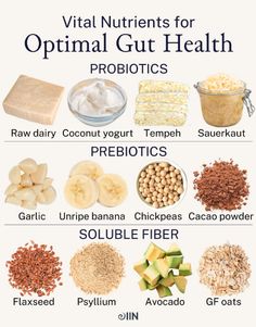 Gut Health Diet, Gut Health Recipes, Soluble Fiber, Gut Microbiome, Fiber Foods, Healthy Digestion, Fermented Foods