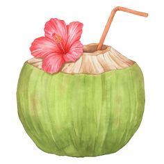 a watercolor painting of a green coconut drink with a pink flower