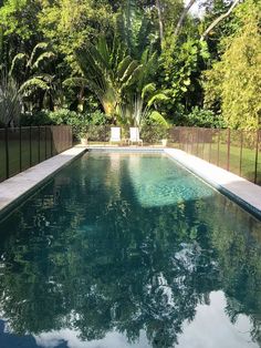 an empty swimming pool surrounded by lush green trees