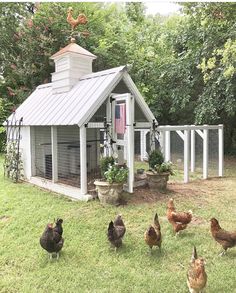 chickens and roosters in front of a chicken coop with an american flag on the roof