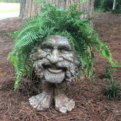 a statue of a man's face is surrounded by ferns