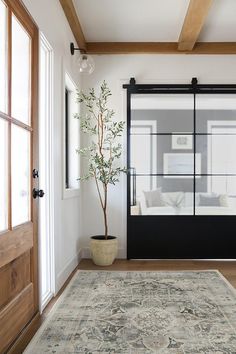 a blue rug in front of a black door with glass panels and a potted plant