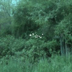 an old wooden gate in the middle of a field with tall grass and trees behind it