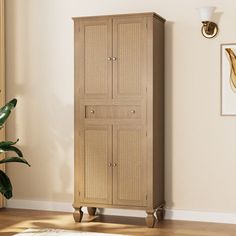 a tall wooden cabinet sitting in the corner of a living room next to a potted plant