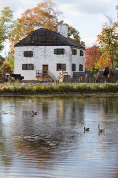 ducks are swimming in the water near an old white house with a porch on it