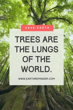 trees are the lungs of the world