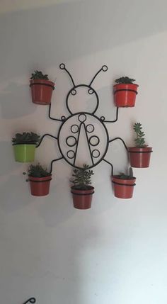 there are many potted plants in the shape of a lady bug on this wall