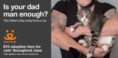 a man holding a cat with the caption is your dad enough? this father's day, bring home a cat