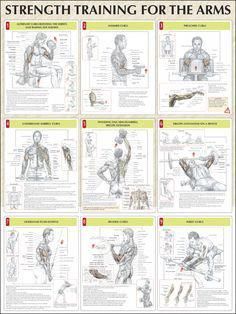 an exercise poster with instructions on how to do the arm and shoulder exercises for strength training