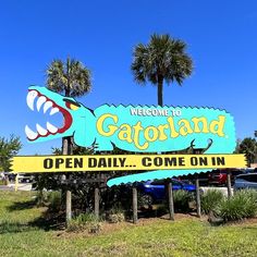 the welcome sign to catotaland is in front of palm trees